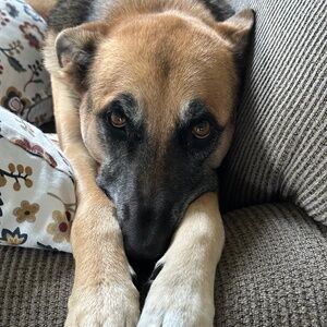 Meet your Posher, Lindsay